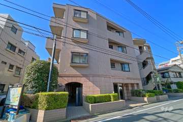 ナイスアーバン蒲田の外観（南東側から）