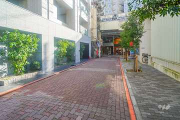 敷地西側の前面道路（北側から）