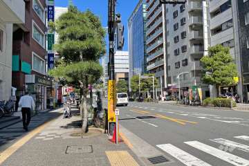 敷地東側の前面道路（南側から）