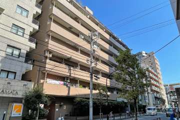 ルモン蒲田の外観（南西側から）