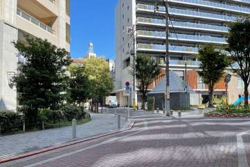 敷地東側の前面道路　