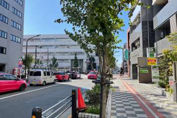 敷地東側の前面道路　