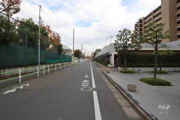 敷地北側の前面道路