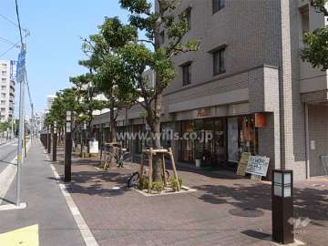 建物1階北側は店舗になっています。