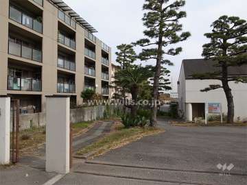 敷地南側。周囲の建物とは間隔があります。