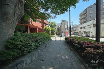 敷地南側の前面道路（西側から）