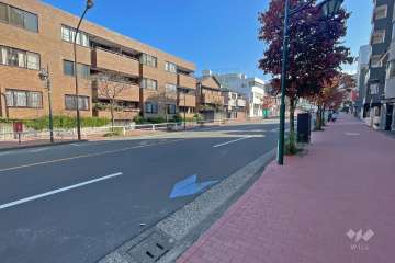 敷地北側の前面道路（西側から）