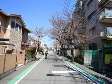敷地西側は桜並木の通りに面しています。