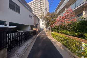 敷地南西側の前面道路（南東側から）
