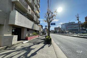 敷地の西側前面道路（北側から）
