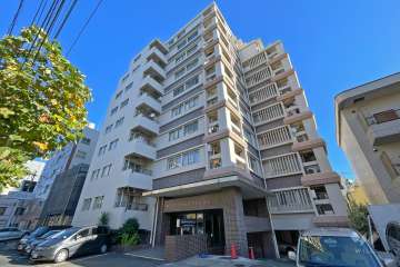 山王ダイヤモンドマンションの外観（南西側から）