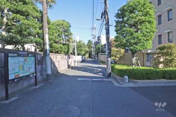 敷地北側の前面道路(西側から)