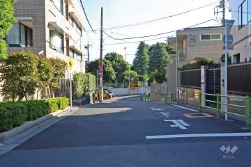 敷地西側の前面道路(北側から)