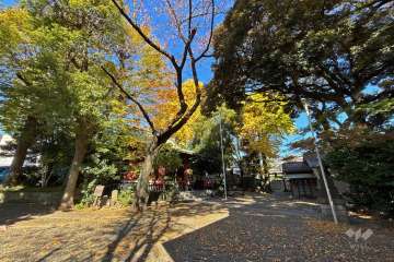 敷地に隣接している熊野神社