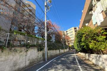 敷地の北東側前面道路（南東側から）