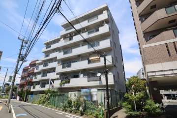 ダイアパレス上池台の外観(南側から)