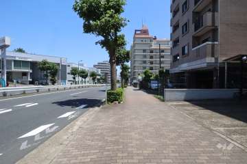 敷地北側の前面道路