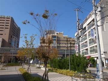 敷地の南側は道を挟んで広場です。