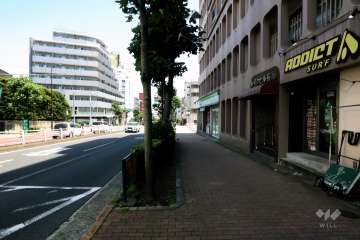 敷地北東側の前面道路(北西側から)