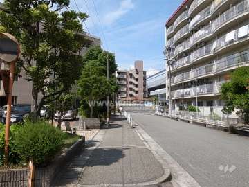敷地南側の道路。