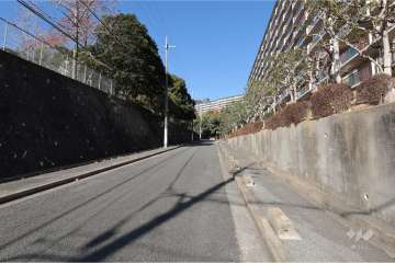 敷地南西側の前面道路