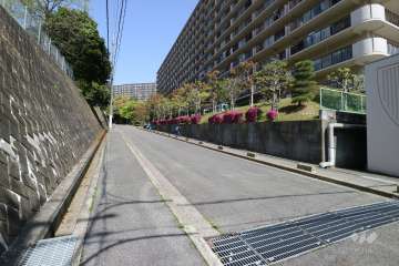 敷地西側の前面道路（南側から）