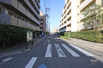 敷地東側の前面道路（南側から）