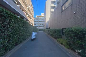 敷地北側の前面道路（西側から）