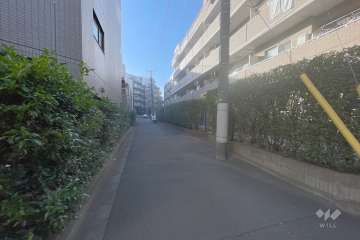 敷地東側の前面道路（南側から）