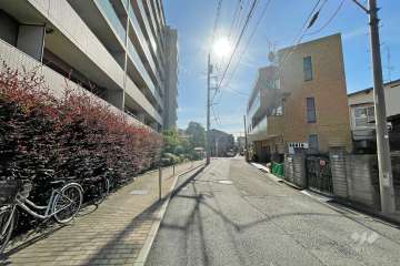 敷地西側の前面道路（北側から）