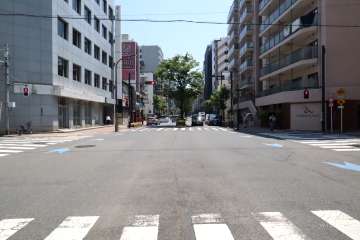 北側前面道路（西側から）