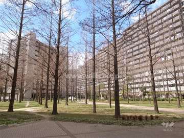 敷地内はたいへん緑豊かで、各所に広場やベンチが配置されています。