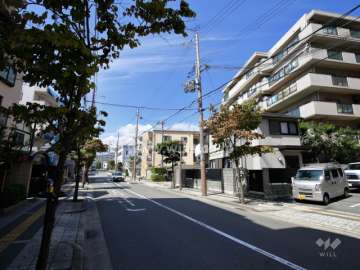 敷地南側の前面道路。街路樹の並ぶ通りです。