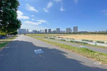 敷地西側の前面道路（北側から）