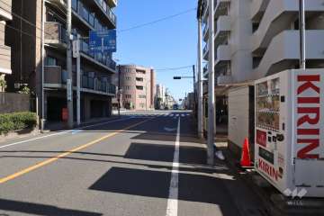 敷地北側の前面道路(西側から)