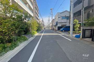 敷地南側の前面道路（西側から）
