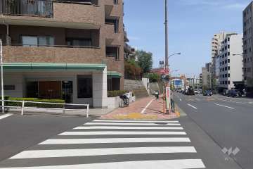 敷地東側の前面道路（南側から）