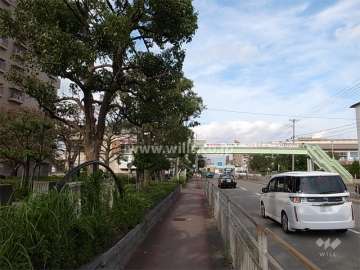 敷地の東側は4車線のバス通りに面しています。