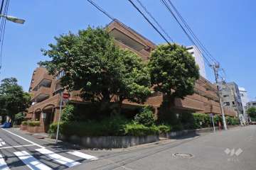 スターロワイヤル雪谷の外観（南西側から）