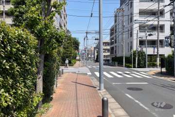 敷地の東側道路