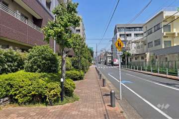 敷地の北側道路