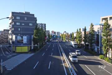 敷地北東側の前面道路（南東側から）