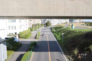 敷地南側の前面道路