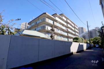 新多摩川スカイハイツの外観（北西側から）