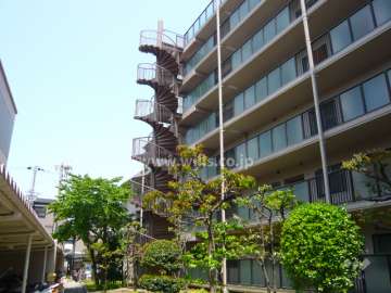 敷地内には植栽スペースが設けられ、緑豊かです。