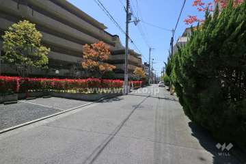 敷地北側の前面道路