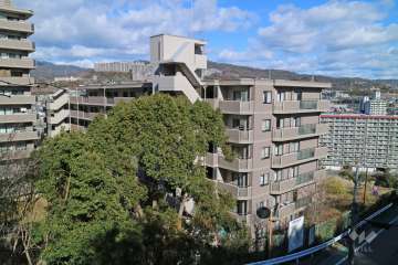 デ・リード宝塚リバービューの外観（南側から）