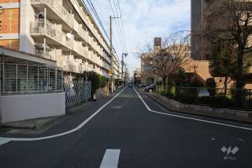 敷地南側の前面道路(西側から)