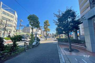 敷地北側の前面道路（西側から）