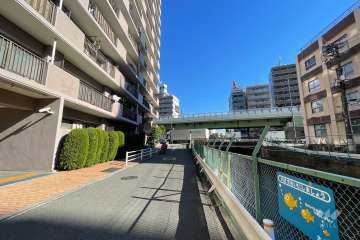 敷地南側の前面道路（西側から）